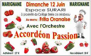 AOBR 2016 06 12 MARIGNANE JOURNEE FRITA ET ACCORDEON (1)